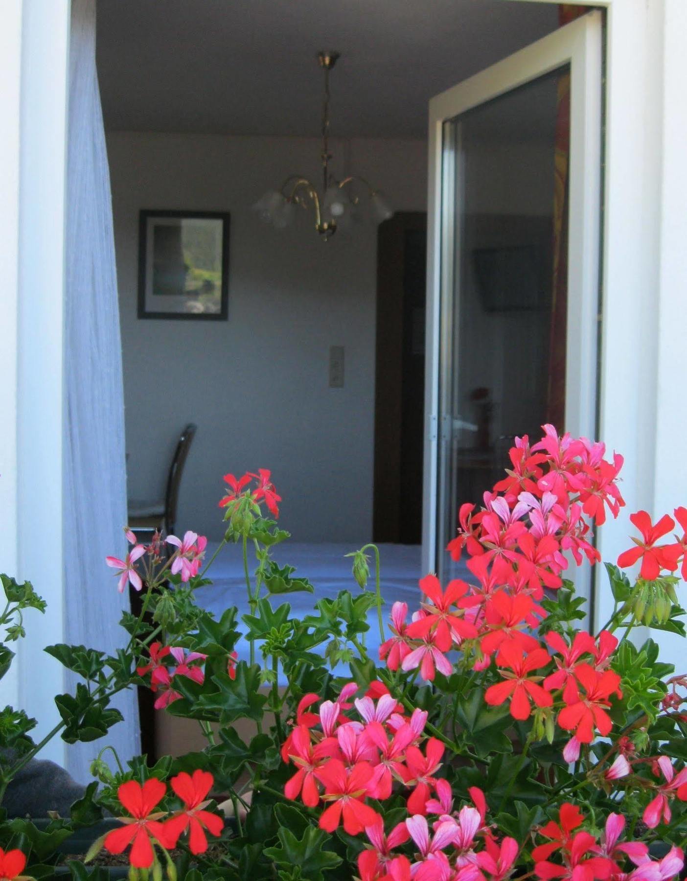 Krinserhof Easy-Rooms Seefeld in Tirol Buitenkant foto